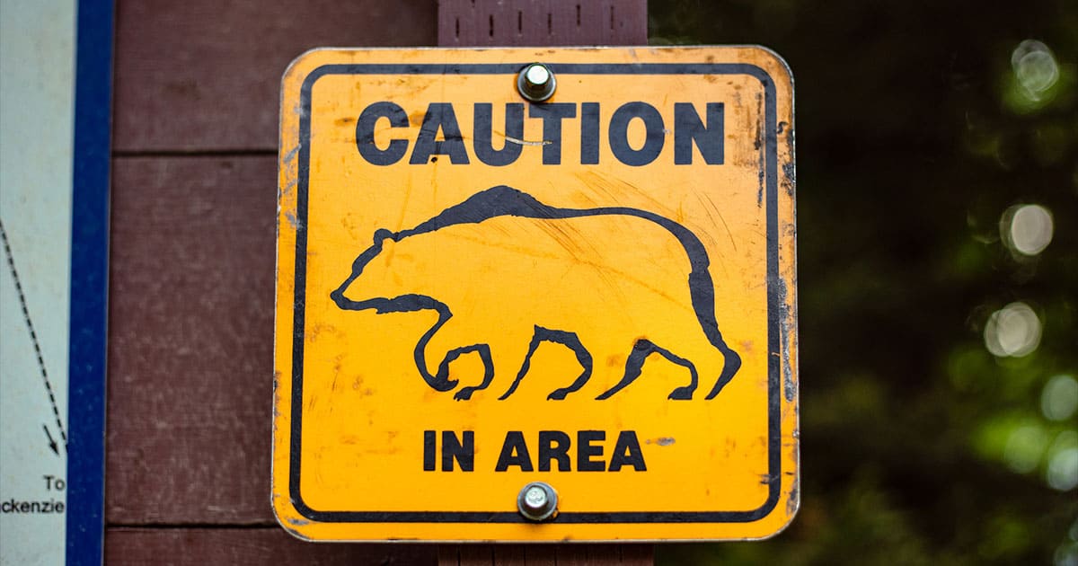 Yellow caution bear sign