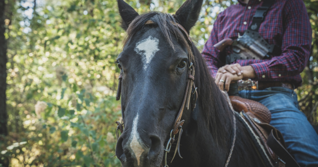 A man sitting on a horse ready to go horesback hunting.