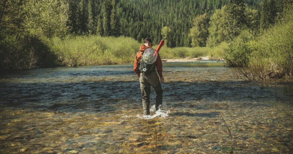 A man wearing waders walking through a shallow river to go fly fishing.