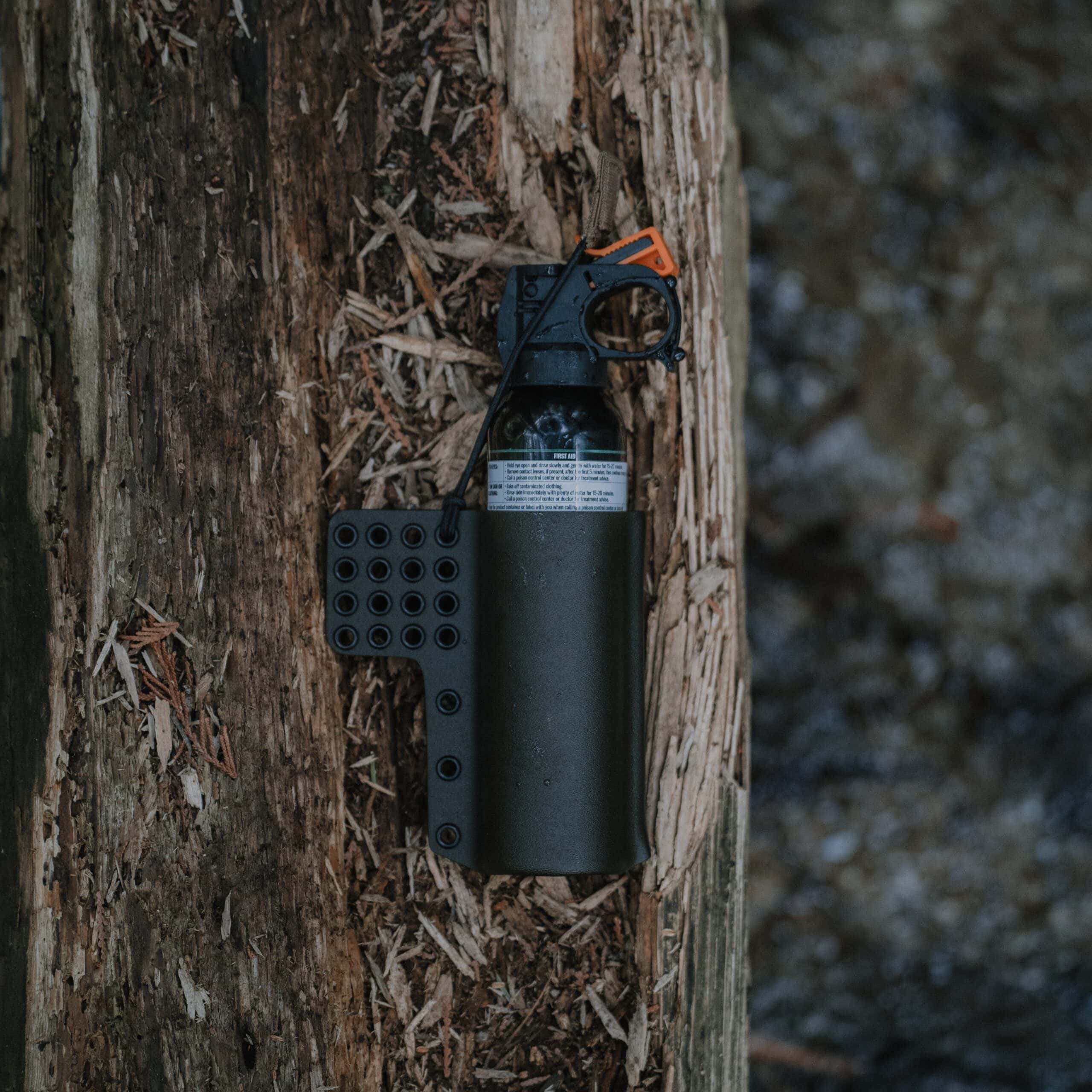 Bear-Link Positioned on a Log