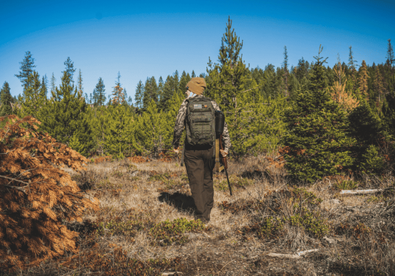 A woman carrying bear hunting gear walking in the forest.