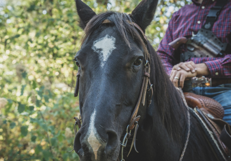 A man sitting on a horse ready to go horesback hunting.